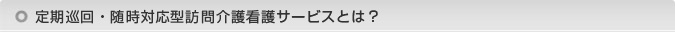 訪問入浴について